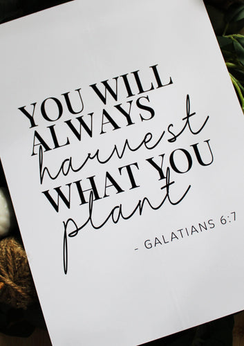 You will always harvest what you plant - Autumn Quote Print - Chic Prints